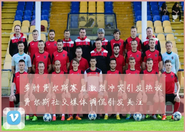 多特费尔斯赛后激烈冲突引发热议费尔斯社交媒体调侃引发关注